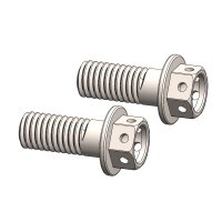 Moto-Master Adapter Schraubensatz | M8x20 | Race drilled