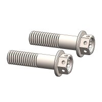 Moto-Master Adapter Schraubensatz | M8x30 | Race drilled