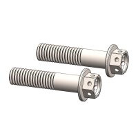 Moto-Master Adapter Schraubensatz | M8x35 | Race drilled