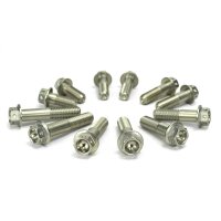 Moto-Master Adapter Schraubensatz | M8x35 | Race drilled