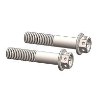 Moto-Master Adapter Schraubensatz | M8x40 | Race drilled