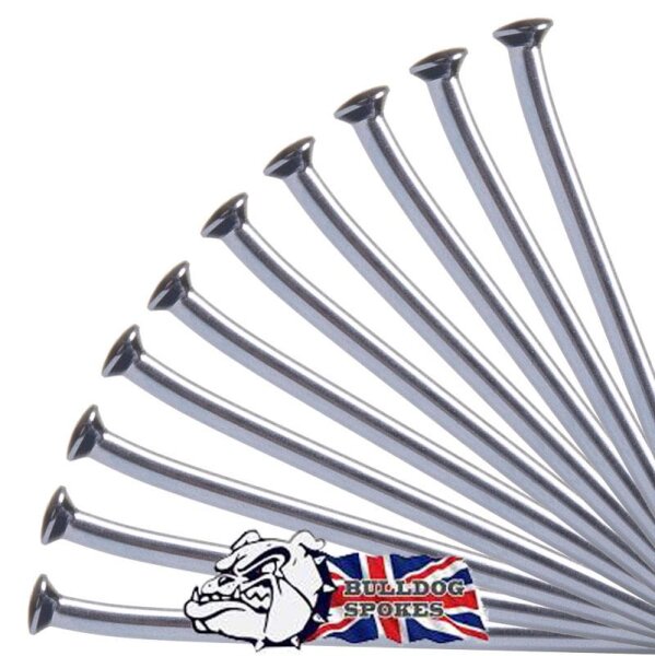 Bulldog Edelstahl Silber
